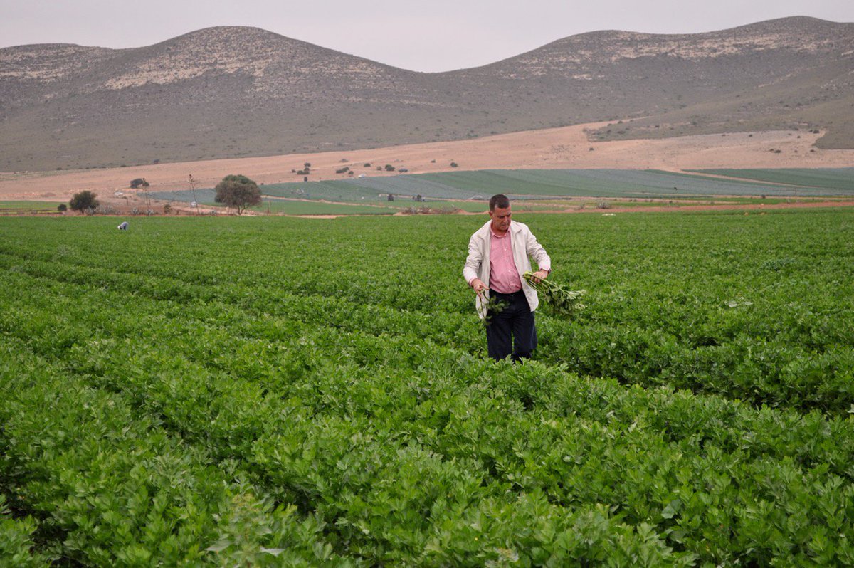 Steeds meer <a href="/Milieukeur/">Milieukeur</a> gecertificeerde groenten van onze Spaanse teler Kernel! bit.ly/2mIa69r