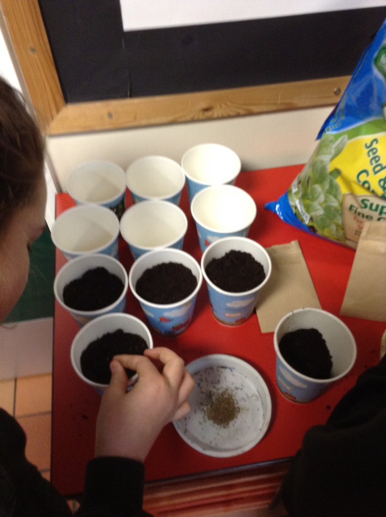 WooldaleJ6C's tweet photo. We have started to sow some of our seeds from @innocent in the #sowandgrowuk challenge. https://t.co/u2Va06nZ60
