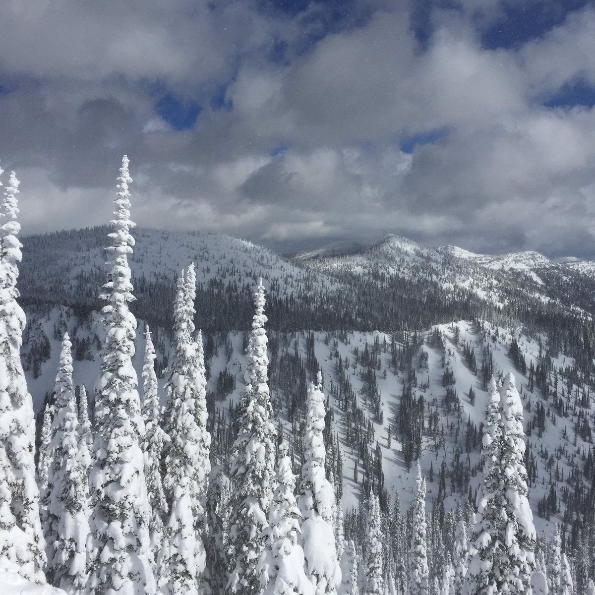 echtracabin's tweet photo. Another beautiful day on the mountain. https://t.co/4Nc69WyyXW