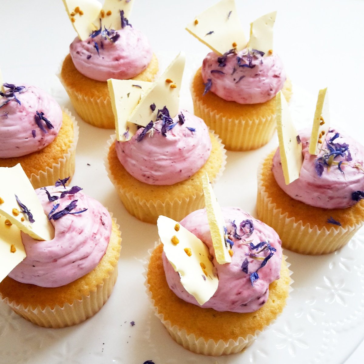 gingerandcacao's tweet photo. Lemon lime cupcakes topped with blackberry sloe gin cream and vanilla meringues - truly scrumptious! π #flavourgoals #dreamcombination https://t.co/wxXqSTxyTR