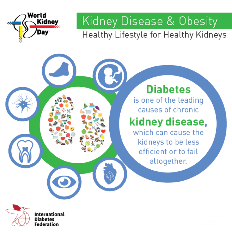IntDiabetesFed's tweet photo. Today is #worldkidneyday: did you know that #Diabetes is the most common cause of #kidney failure? https://t.co/78KEmLwLB0 https://t.co/hMqyshkV9q