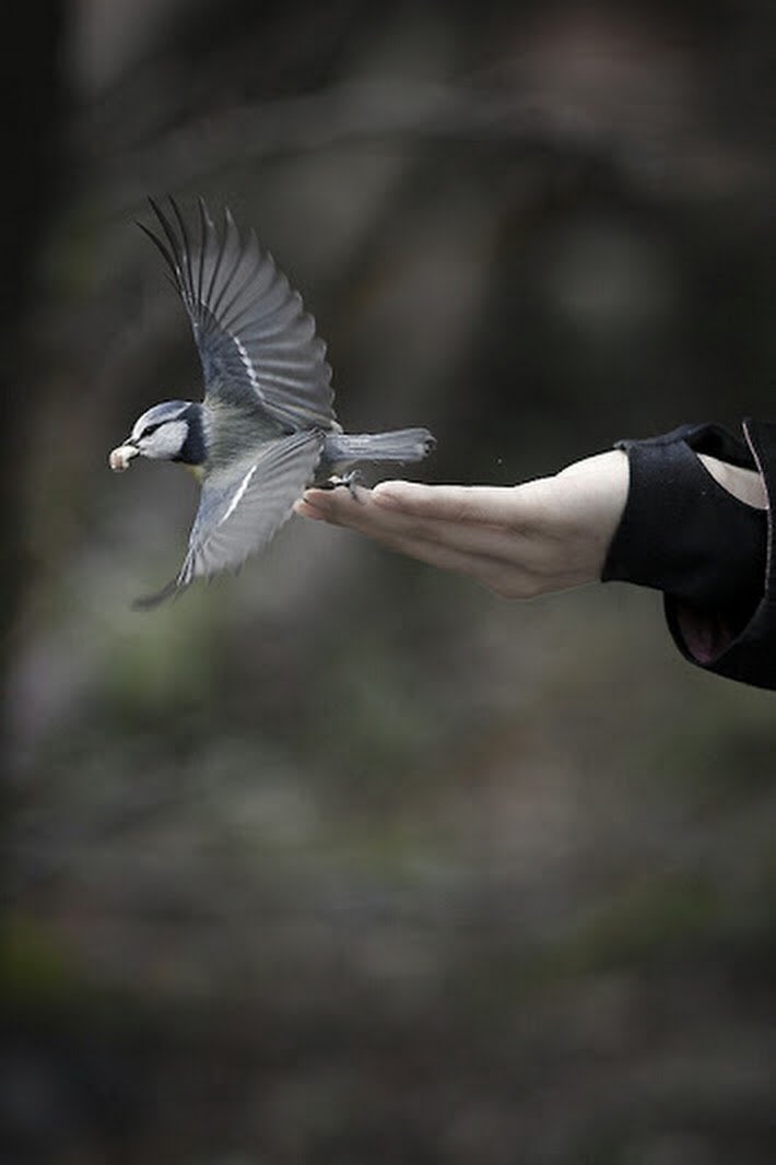 .
.
ليت ﺎﻻمانـي تحقق ﻻ تمنينا
وياليت ﺎﻻيام تجبر في خواطرنا
على دروب ﺎﻻمل سقنا خطاوينا
يالله عسى خيره اﻻيام : تنطرنا
.
.