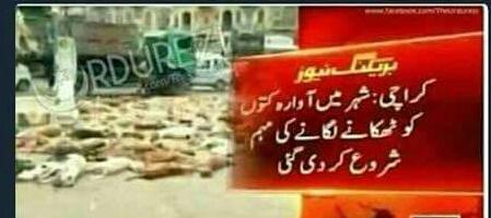 Hassangulamnabi's tweet photo. Me:     jani tu zinda hai na?
Frnd:  Han.. kio kaya hova?
Me: https://t.co/TYS3WvKyYA