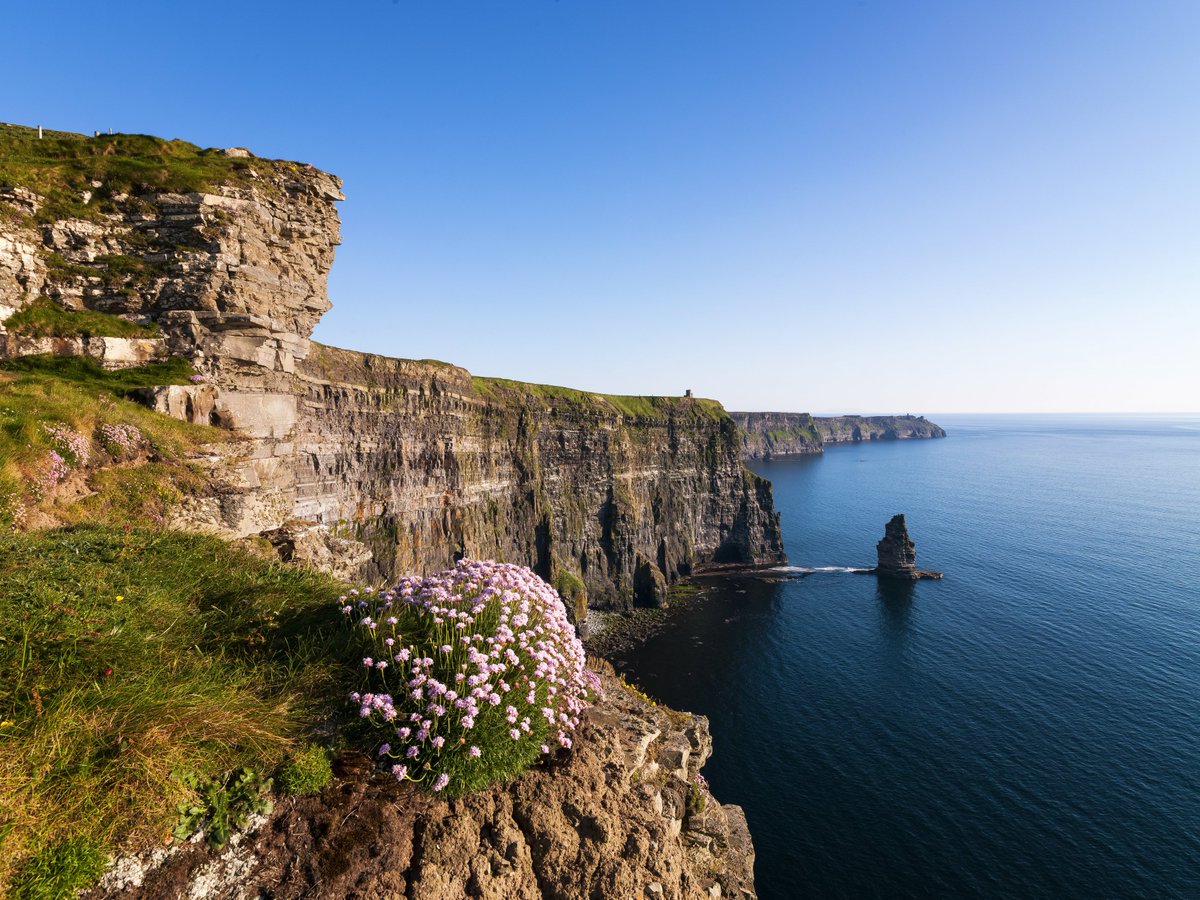 If you could be anywhere in Ireland right now, where would it be? 💙

#TravelThursday

📍 Cliffs of Moher, Co. Clare