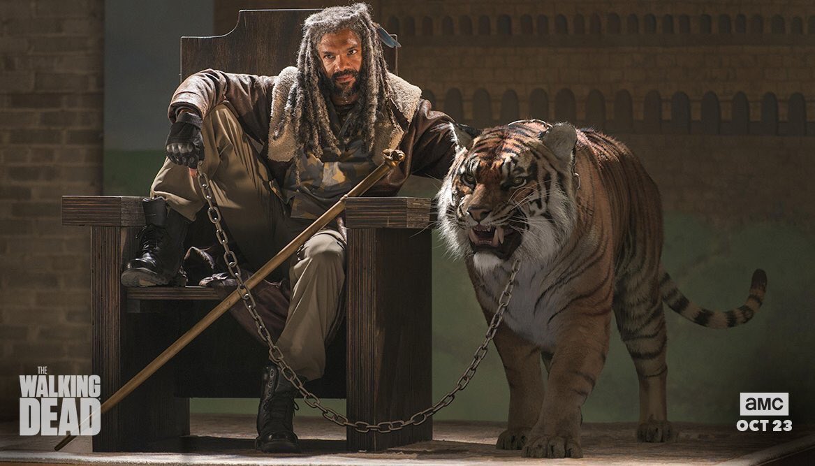 RealTWDFans's tweet photo. Now THAT'S a tiger! Who's ready to meet Ezekiel and Shiva this season?? #TheWalkingDead #realtwdfans #twd #ezekiel #shiva https://t.co/LJjty4QcV9