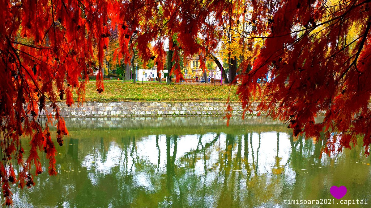 Rio Bega, Timisoara, Romênia (outono de 2016). Photo: Eron Denov #timisoara #romenia #nature