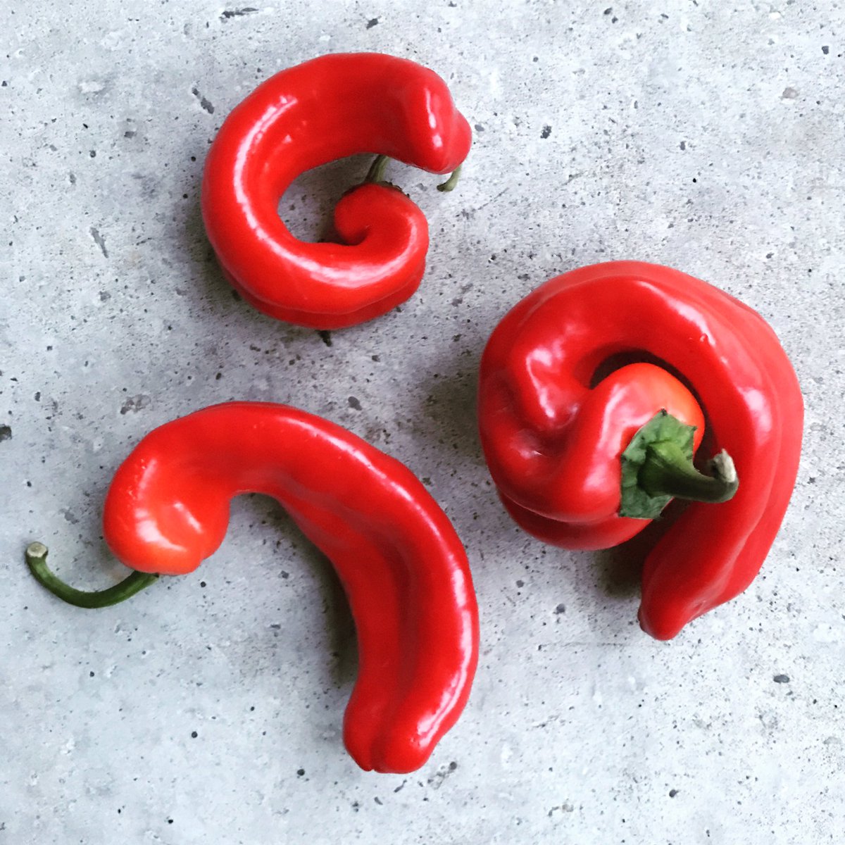 Deze puntpaprika's maken niet zo'n punt van een beetje anders zijn 😌