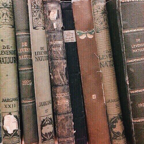 minsugaesthetic tweet picture