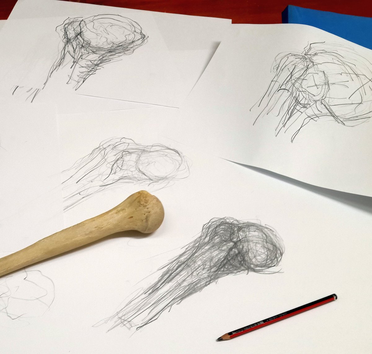 Iain Keenan On Twitter Observational Drawing Workshop For - 