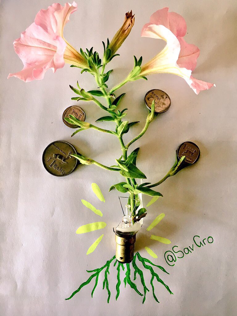 SavGro's tweet photo. Root with growth 🌱 #fromtherootsup #ImakethingsGro #personalbrand #UJStratComm_GoSearch @WandileSihlobo @liezlmari @pepemarais https://t.co/jBKCiP85zg