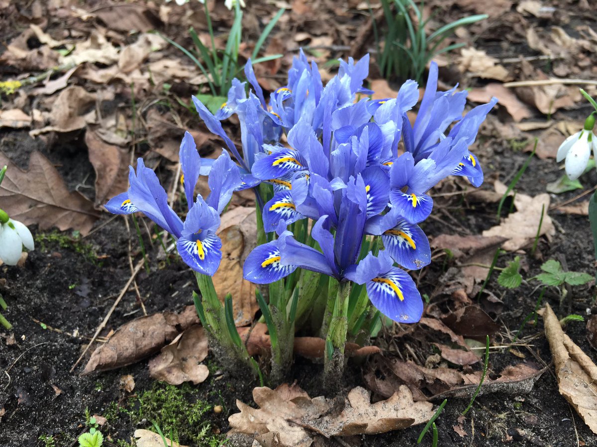 Hoera, @UtrLandschap 90 jaar! Mijn cadeautip: word ook beschermer!!