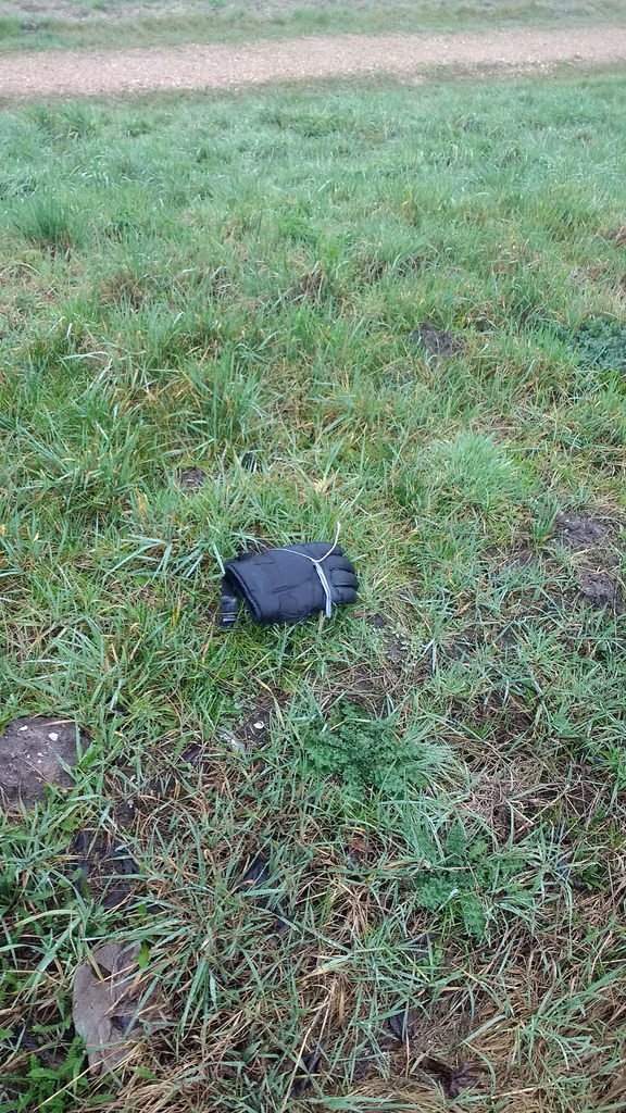 nestpasbart's tweet image. March 09, 2017 at 09:50AM Found a fresh one! #lostfound flic.kr/p/SytB2u