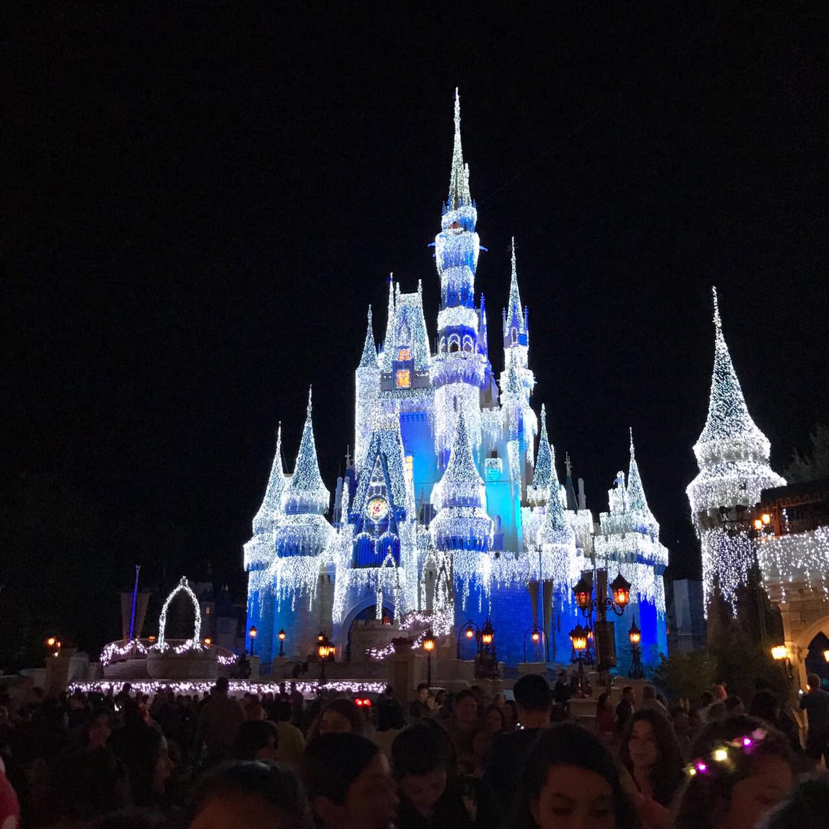 FifthkingdomBus's tweet photo. https://t.co/3UsPYUyTG7