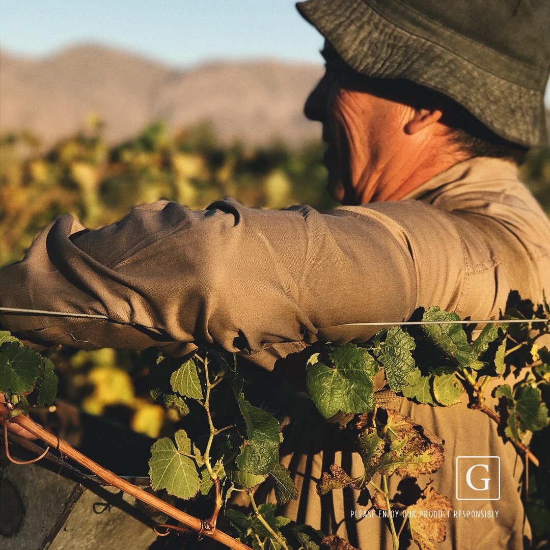 graffignawine's tweet photo. Altitude = Attitude #Graffigna #NeverTimid https://t.co/2b0Ke2DwAT