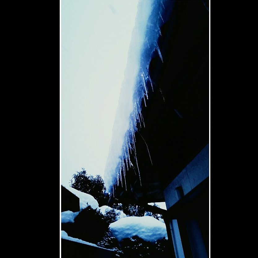 mst_toumynvg's tweet photo. #実家 のこの #冬 大きかった #つらら
#Icecle s #hanging the #eaves .
#氷柱 #日本家屋 #japanesehouse #parentshouse #nagano #長野 #winter #freezing #japan https://t.co/uap9n44wu7