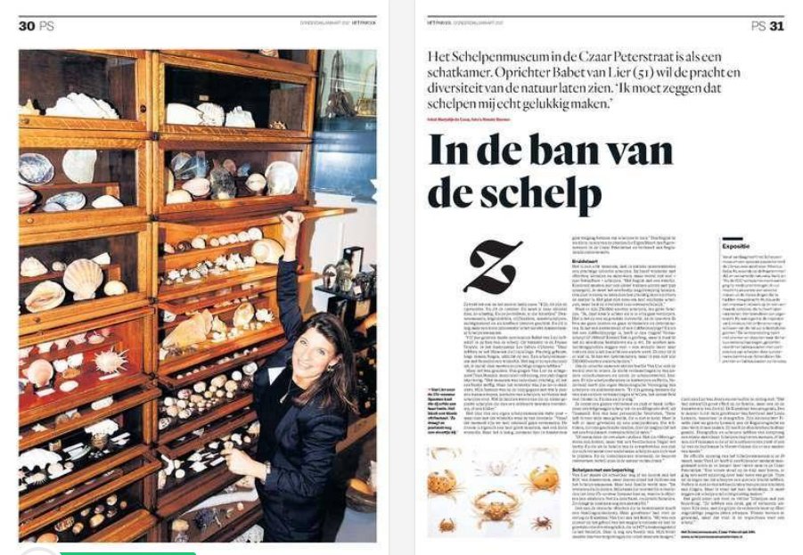 baslier's tweet image. Drie pagina's Schelpenmuseum Amsterdam vandaag in @parool parool.nl/4472139