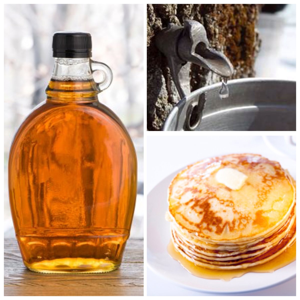 NYstateparks's tweet photo. Join us Sunday for a Maple Celebration: sugaring, cross cut saw demos, pancakes &amp; more! Taconic Outdoor Ed Ctr.: https://t.co/tGJ7X6UCNN https://t.co/ptJy6gs2rV