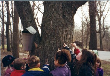 panoramanow's tweet photo. Maple Syrup Time at #DeepRiver Co. Park #HobartIN @LakeCountyParks This Weekend! https://t.co/T1Iu8qWeOI https://t.co/CYYRSuE1UR