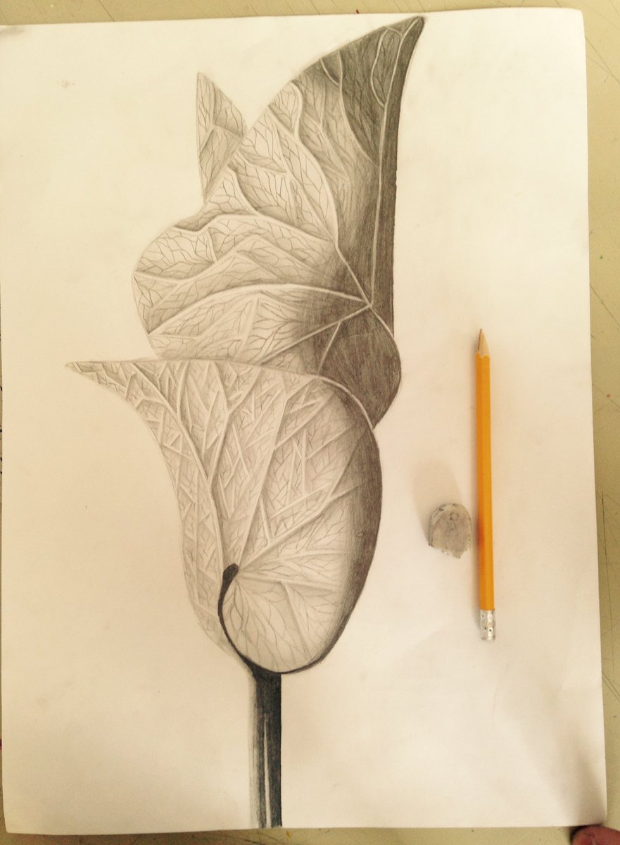 sewell_park_art tweet picture