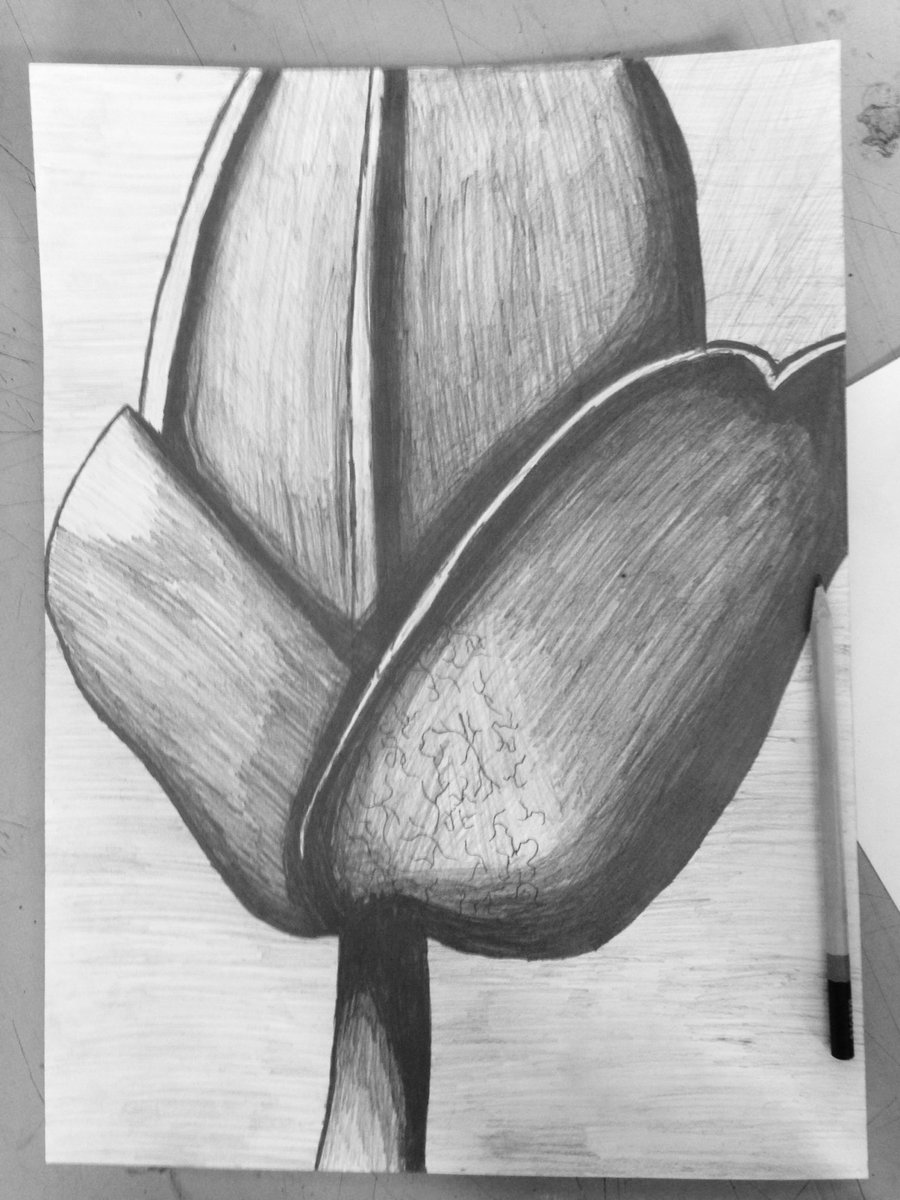 sewell_park_art tweet picture