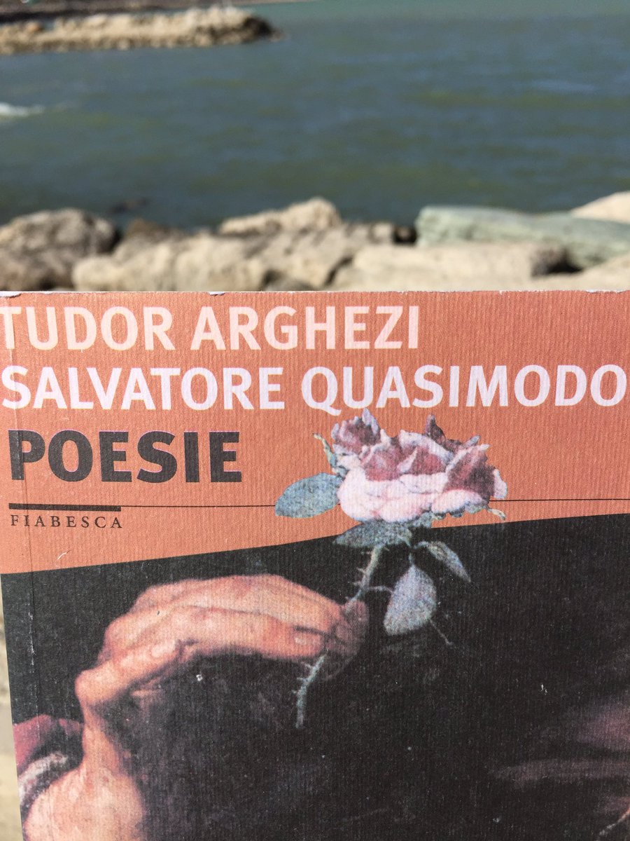canonico76's tweet photo. Dalle piaghe dalle muffe dal fango
Ho fatto nascere bellezza e nuovi valori.
#FraseDelMese
@CasaLettori @GRomaneasca @romaniacult @o https://t.co/DsdFmraH1v