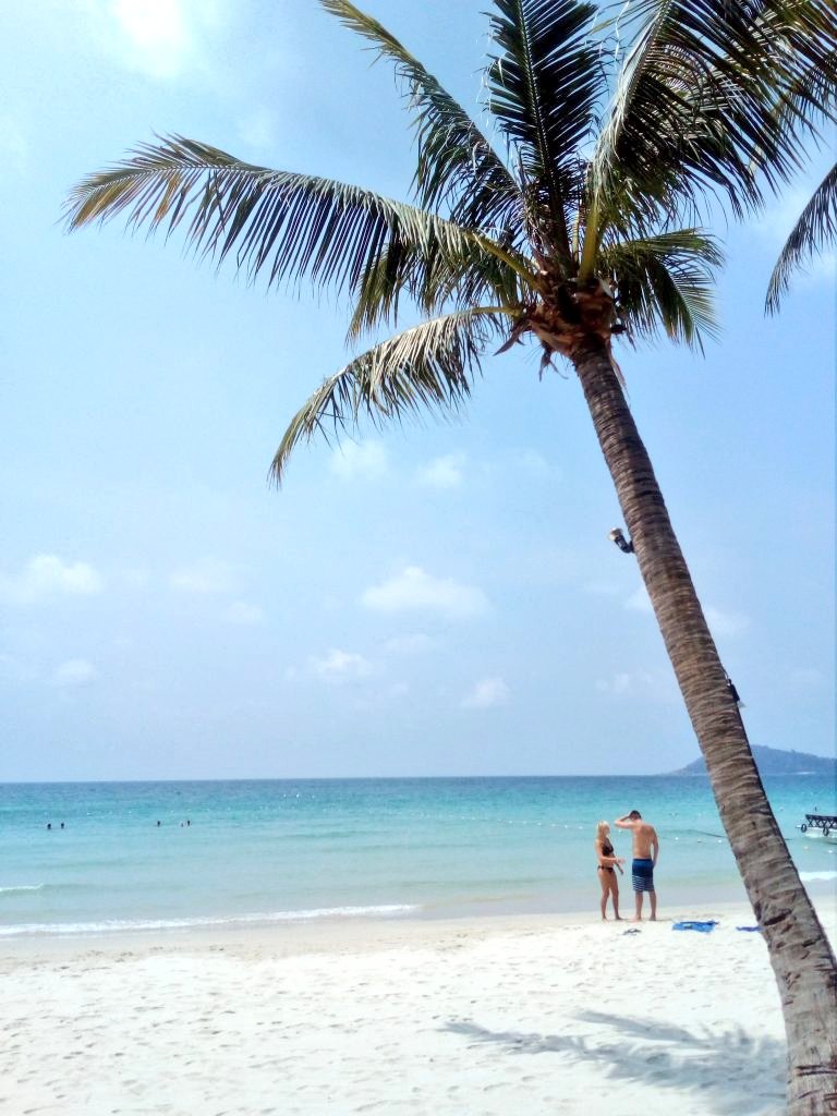 rodzinapodpalm1's tweet photo. Koh Samed - Magiczna Kryształowa Wyspa https://t.co/eTX65lvcVK #kosamed #thailand https://t.co/sxKm33ivri