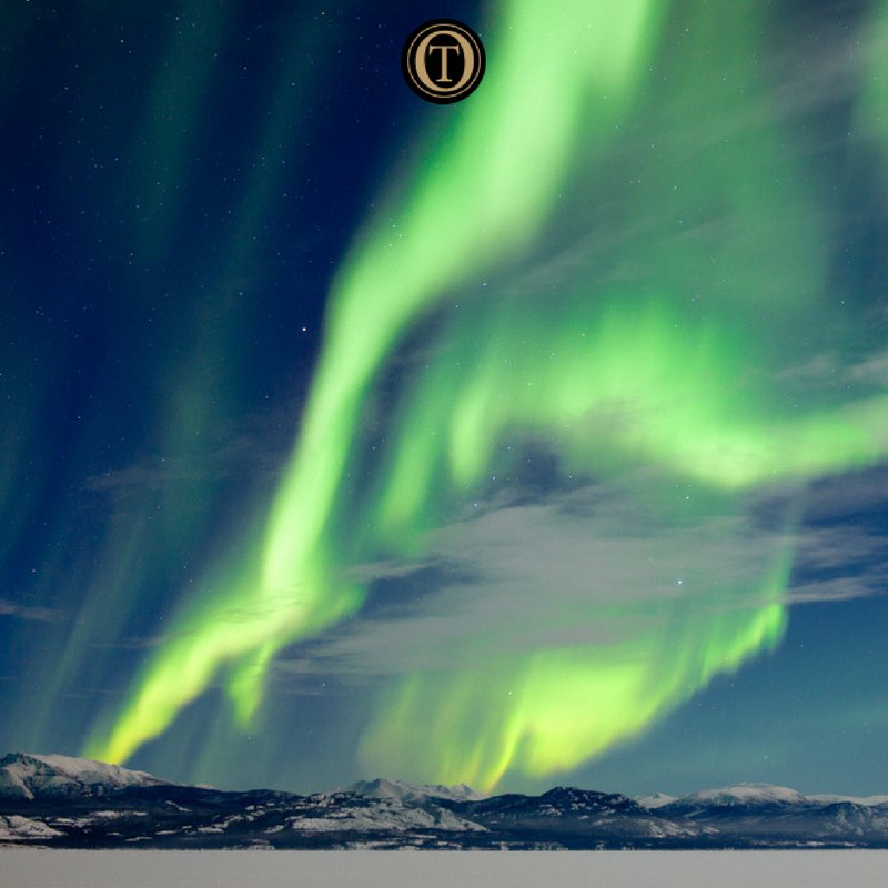 OundleTravel_'s tweet photo. Witness the breathtaking colours of the aurora borealis in Canada's night skies! #OundleTravel #NorthernLights https://t.co/fxzcNgxDv9