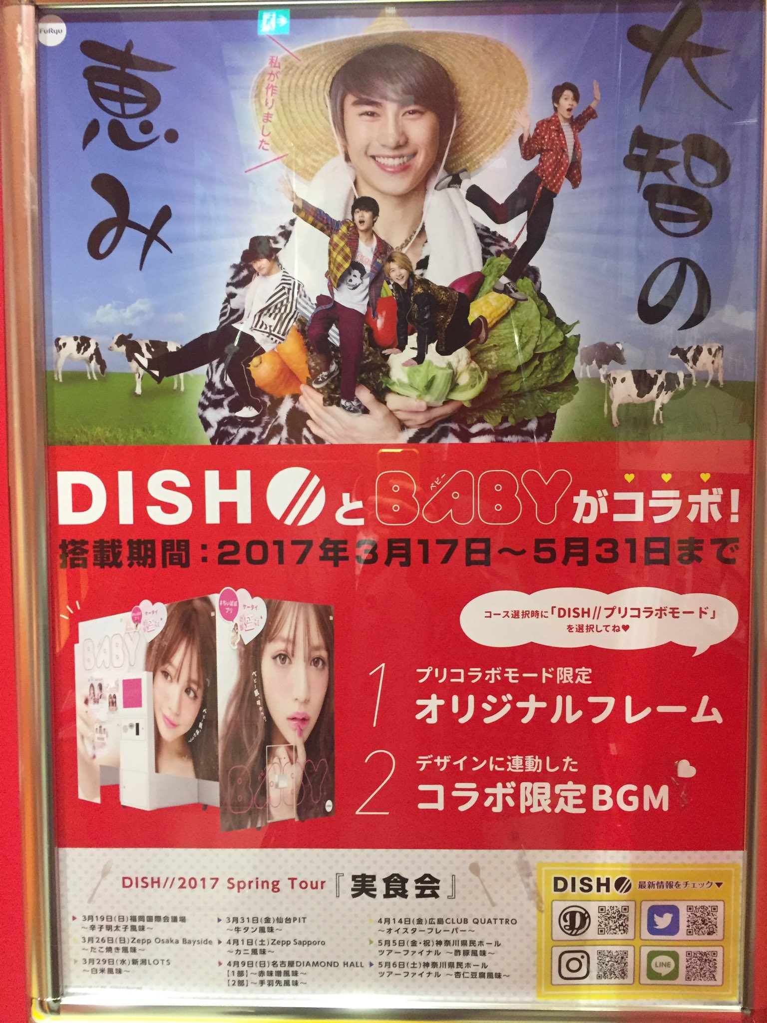 DISH// プリクラ DISH - Search / X