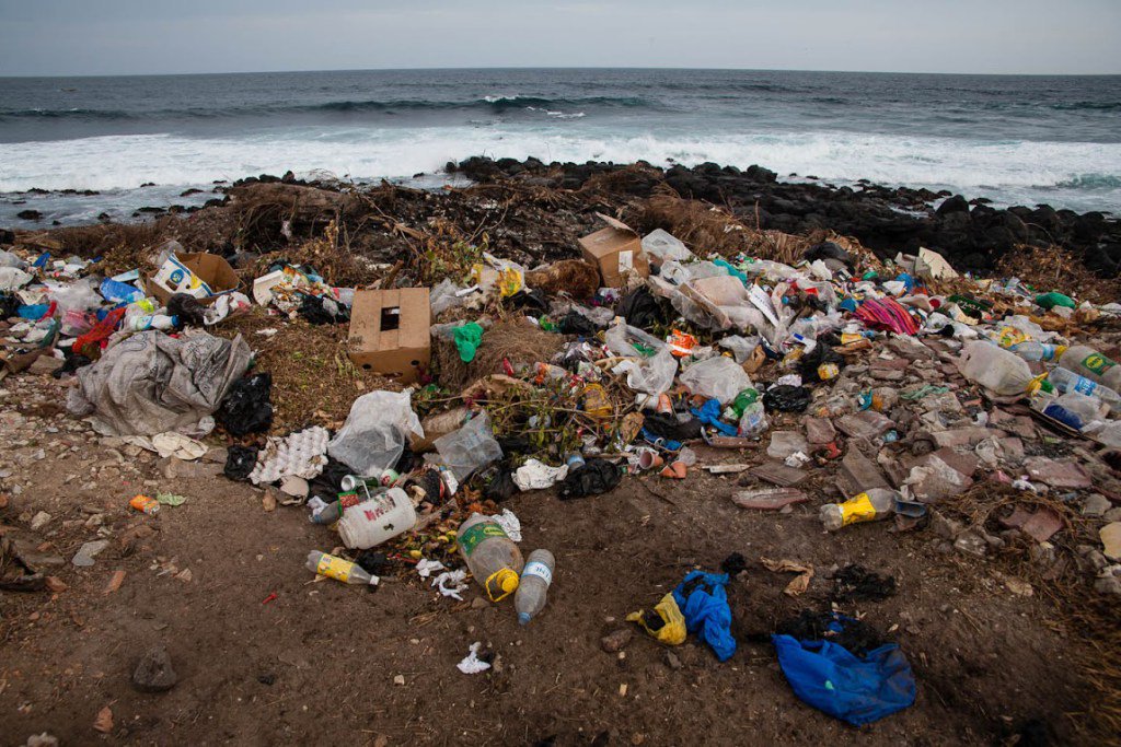 Going4aWalk's tweet photo. Beach Cleaning | A Great Way To Volunteer and Help Save The Environment @mcsuk #Scotland https://t.co/aYzAMFlIoJ https://t.co/r1KQSrpnnw