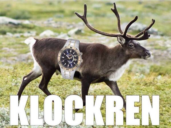 ellicatoo's tweet photo. @ylvis_molle @DDGSoftis https://t.co/PnvllEdVXe