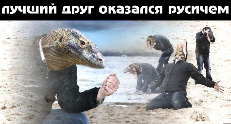 C6eSb6TXQAAOZ11.jpg