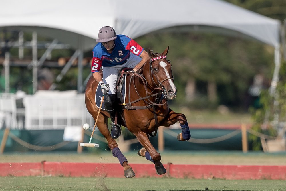 Pololine's tweet photo. Picture of the day II: Gonzalo del Tour for #hbpolo @polo_challenge #goldcup by @MatCallejo #pololineinDR https://t.co/PgmVdxSYqI