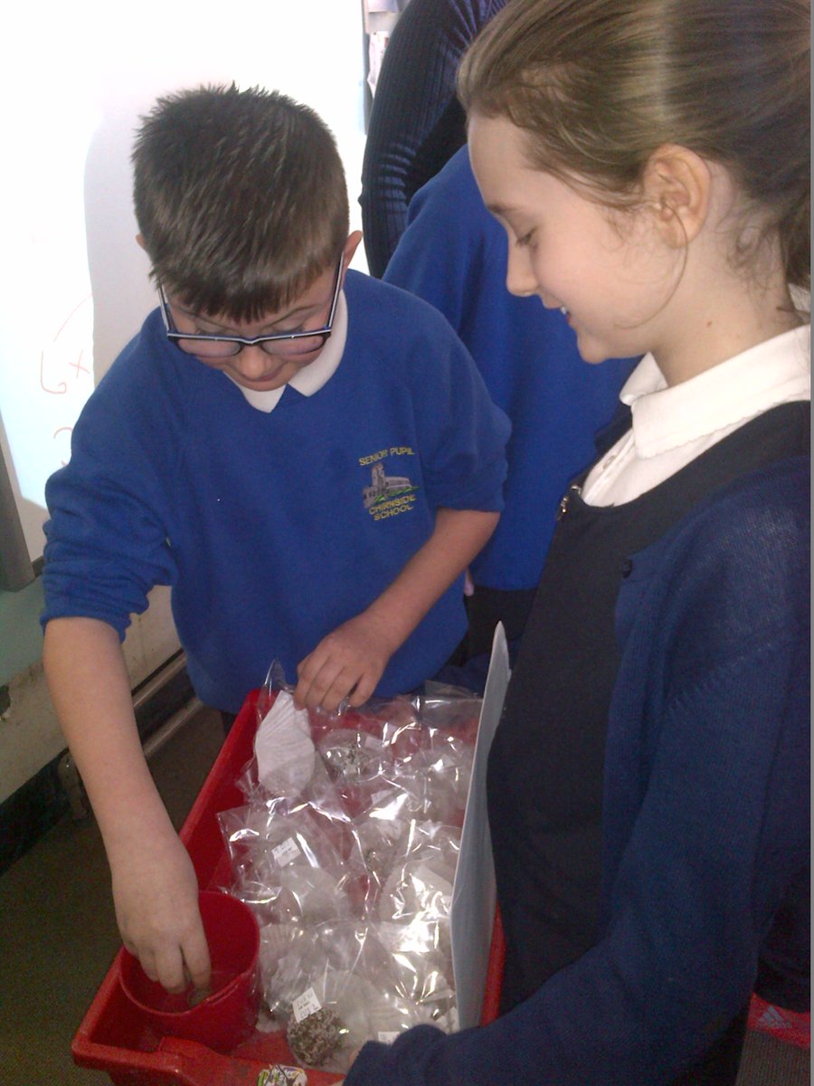 Chirnside Primary tweet media