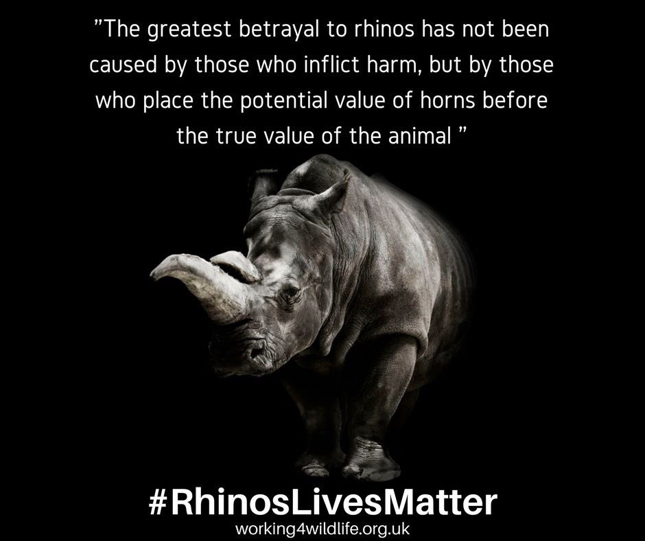 #RhinosLivesMatter Sustainable #Rhino Horn Trade: "humane &amp; ethically justifiable"?  MUST READ by <a href="/WorkForWildlife/">Working for Wildlife</a> facebook.com/working4wildli…