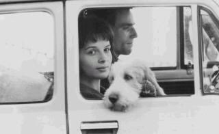Happy birthday, Juliette Binoche. 