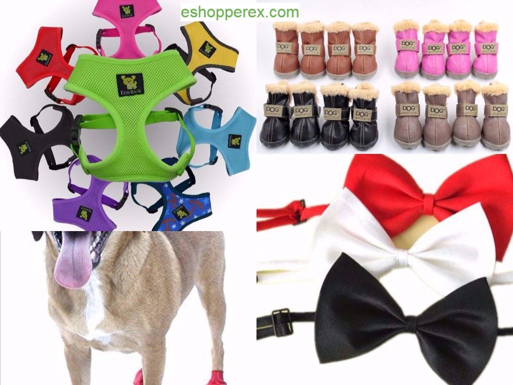 Graella1's tweet photo. Pet Accessories
https://t.co/EbIGp9AYis
#eshopperex.com https://t.co/X8K7lr6KFk