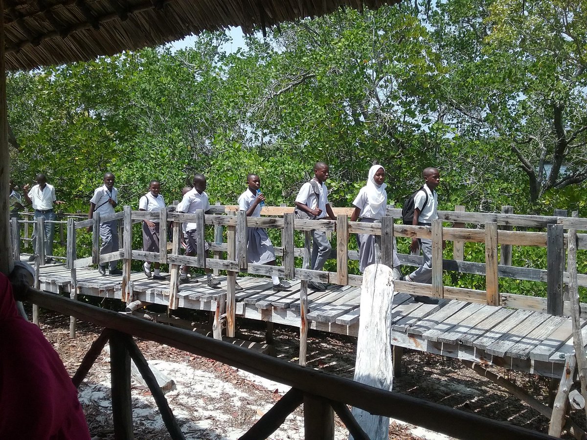 Mwakigwena primary school in Gazi Bay