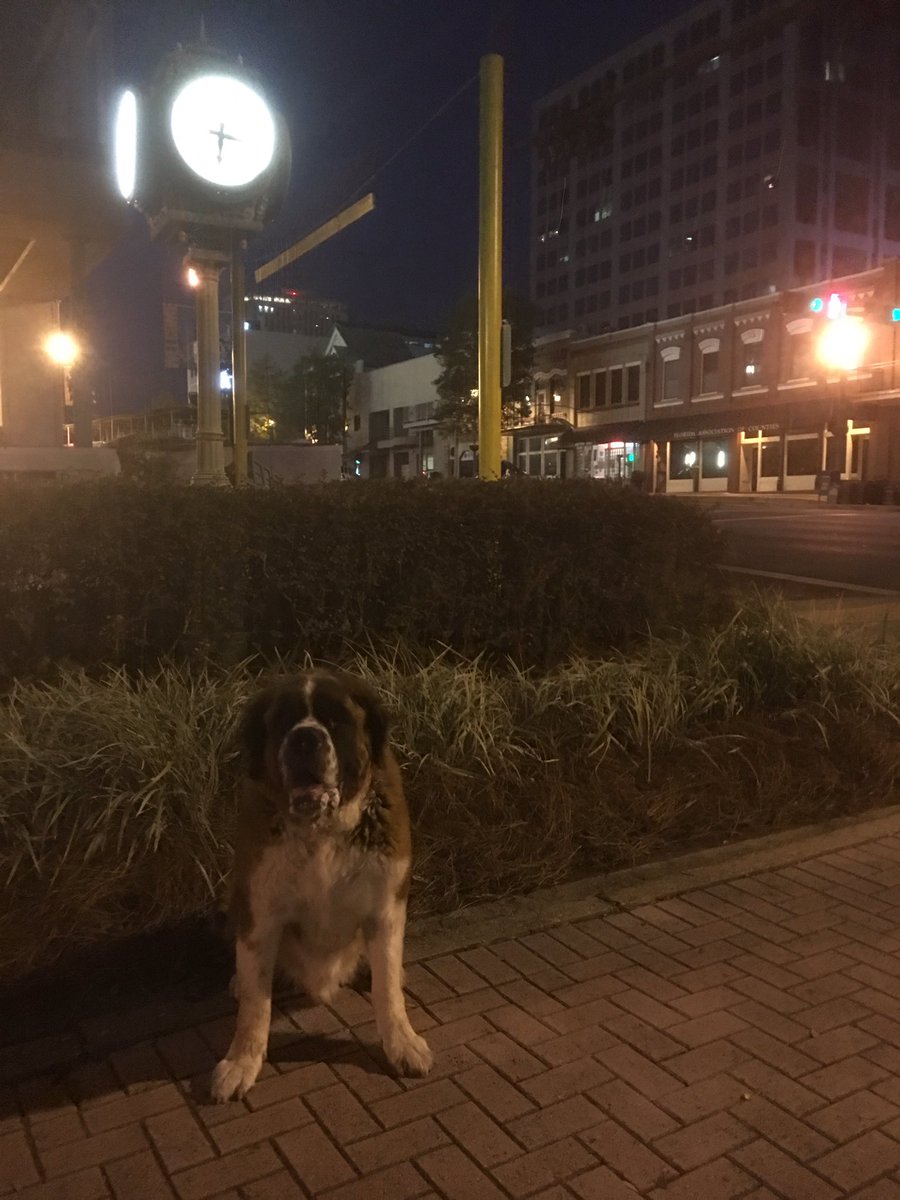 Early bird gets the worm in Tallahassee! #Session2017