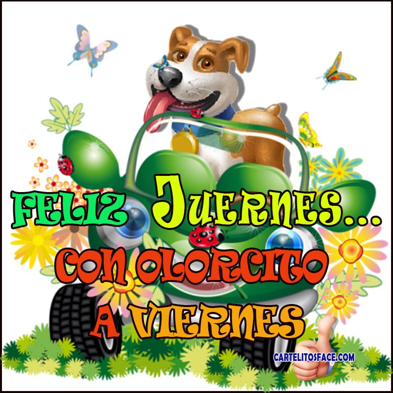 CartelitosFace's tweet photo. #juernes con olorcito a #viernes @CartelitosFace https://t.co/wsS7YSxhtl