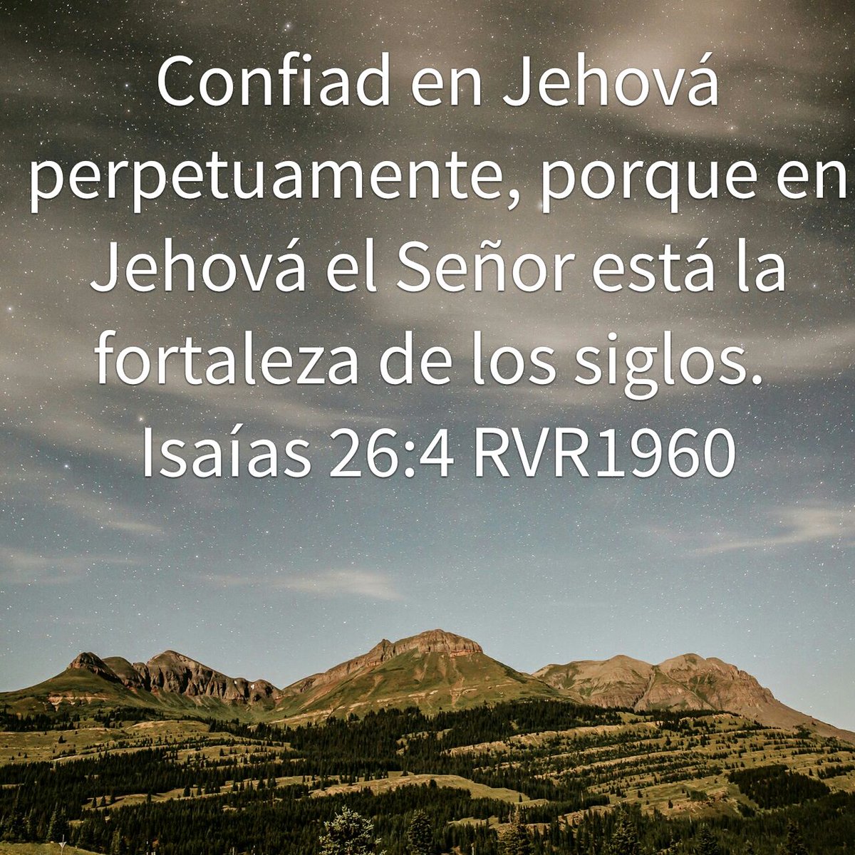 i_maestra's tweet photo. Confiad en Jehová perpetuamente, porque en Jehová el Señor está la fortaleza de los siglos.
Isa��as 26…
https://t.co/WhKHOOnS7P https://t.co/H37f0C10hs