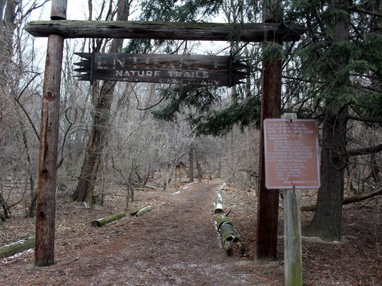 ROCFlavors's tweet photo. Help collect sap at the Maple Sugar Open House at Helmer Nature Center in Irondequoit. https://t.co/1B6ecfALip #ROC https://t.co/eyWHV4XinZ