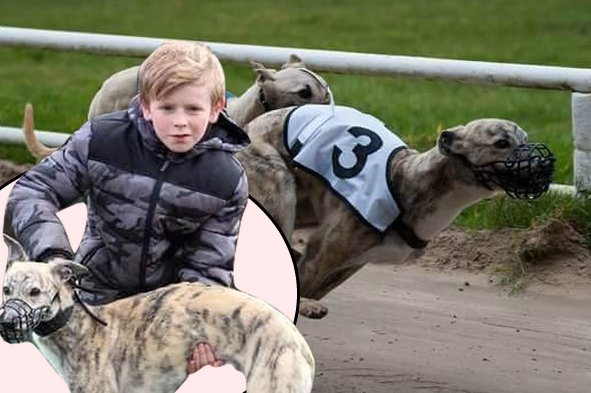 Schoolboy dog trainer, 9, lands first big win in England bit.ly/2nibz5T