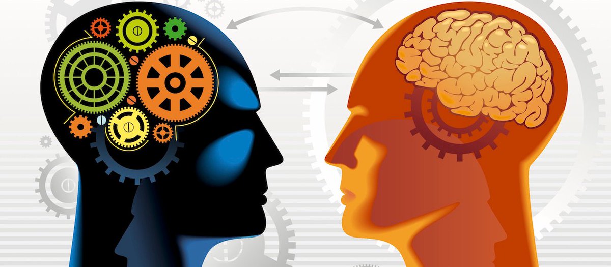 timpayne tweet media