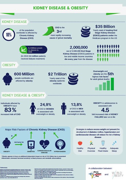 WorldObesity's tweet photo. .@WorldObesity and @WorldKidneyDay issue joint position suggesting policies to combat #obesity and kidney disease: https://t.co/UsD1PmMfTi https://t.co/KJRUov06BG