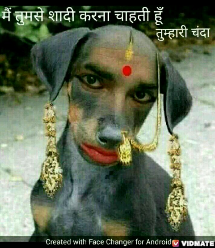 ManikSasmal (@sasmalmanik) on Twitter photo 