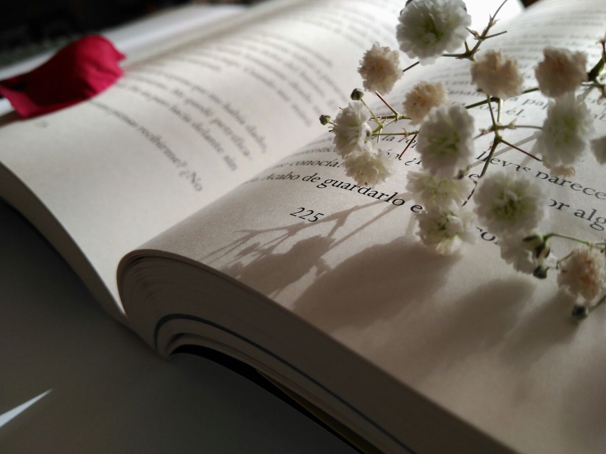 NireSplash's tweet photo. Todos somos novelistas de nosotros mismos, y a todos, alguna vez, un libro nos ha salvado. Leer nos hace más humanos. #LEEMOS https://t.co/ORKRksGamU