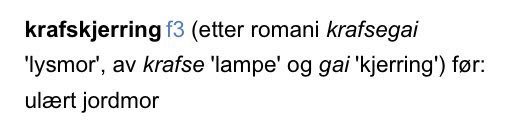 Ivar Aasen tweet media