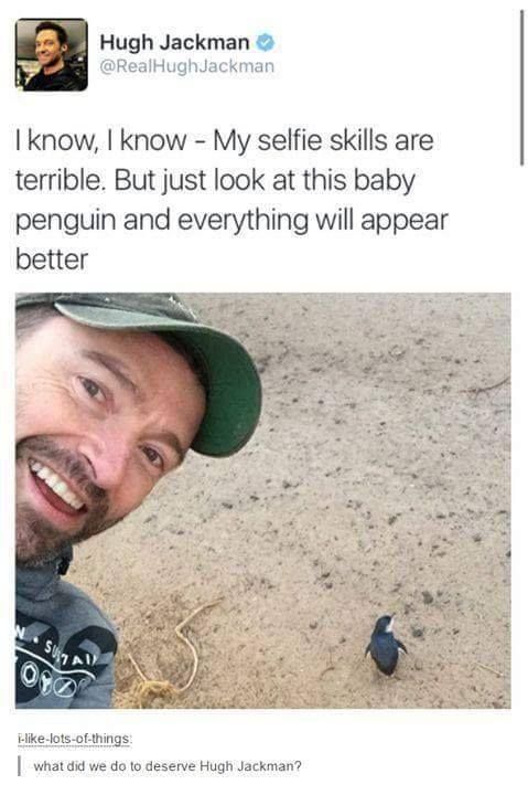 VeganHumor_'s tweet photo. Someone turned @RealHughJackman into an adorable #penguin https://t.co/pAOswG3emr https://t.co/1TTig9yA4e