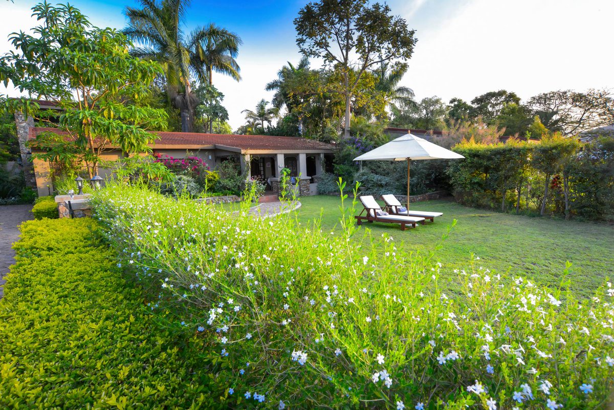 Rest and relax with us at <a href="/BelgraceBH/">Belgrace</a> after a long day searching for elusive game in the #KrugerNationalPark  #safari #safaristays