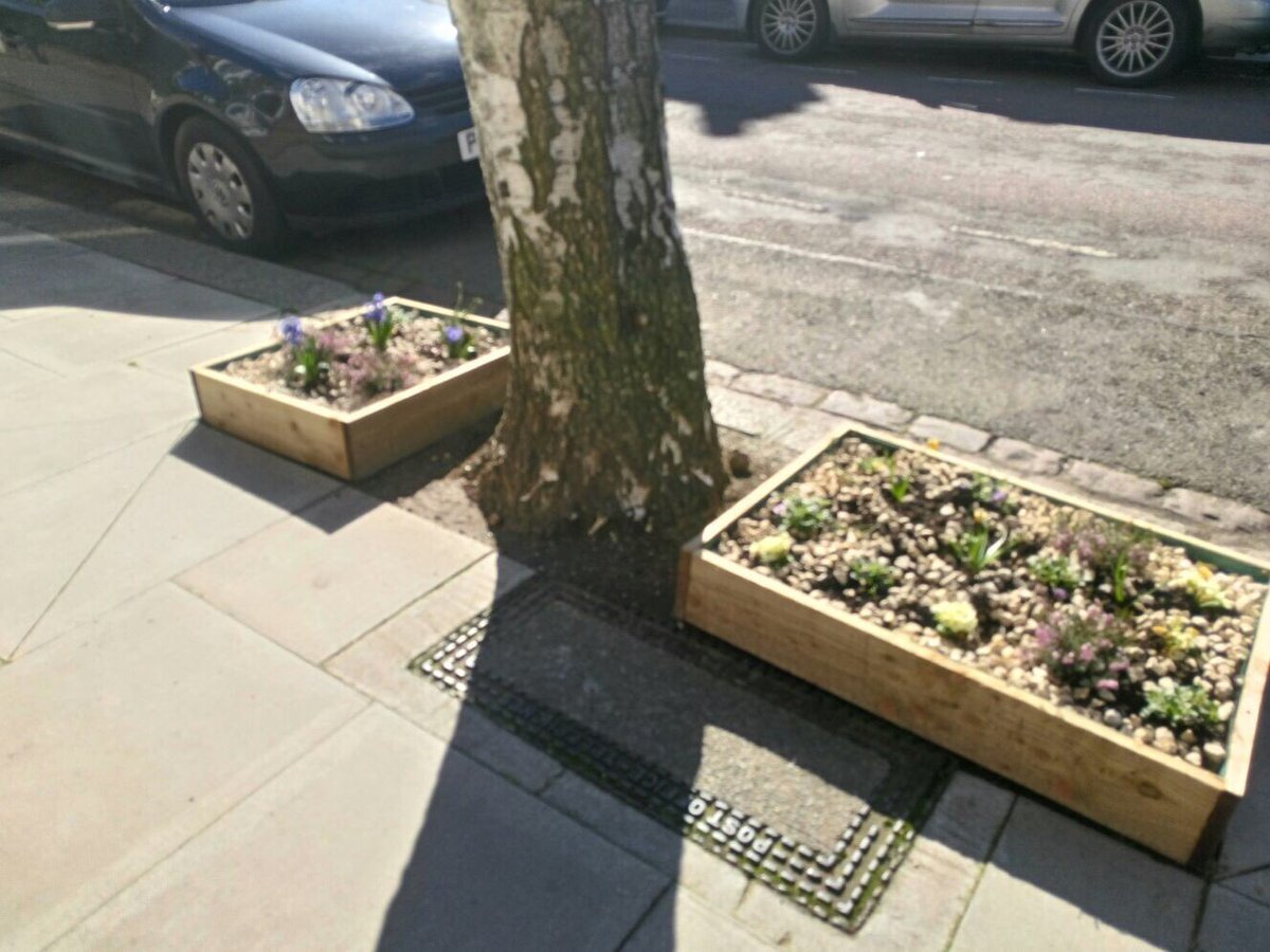 bratnw6's tweet photo. Thank you to #TorbayRd #NW6 #residents for wonderful #treepits and #gurrillagardening ✅Yes to 🌺Flowers ⛔️No to litter #Pride in #local #area https://t.co/1MEi2NRTo3